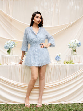 Long Sleeved Mini Dress