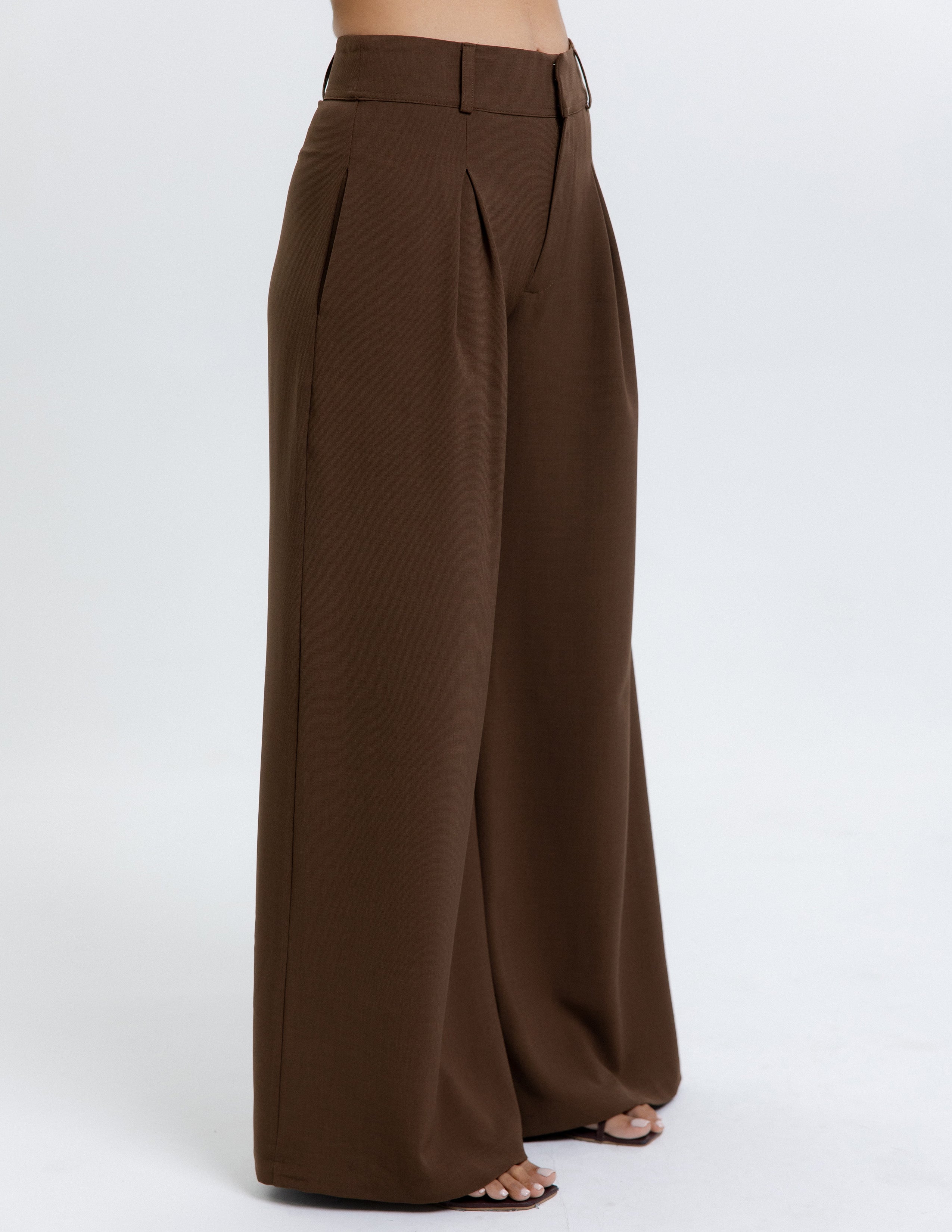 Pleat Detailed Pant